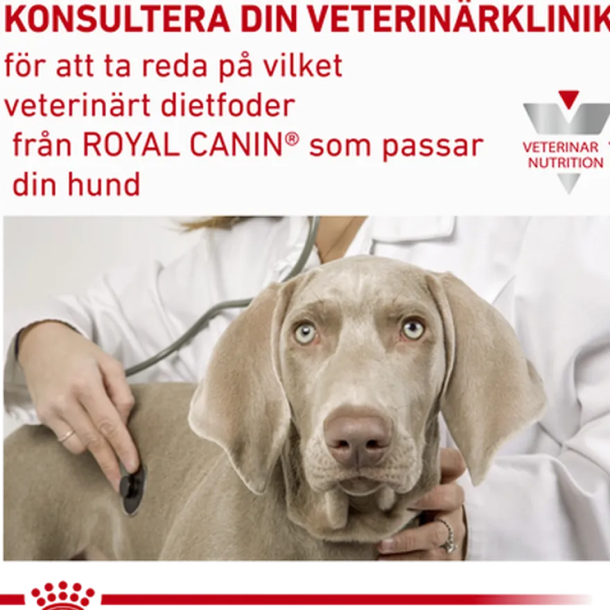 Derma Hypoallergenic Loaf Can våtfôr for hunder 200 g