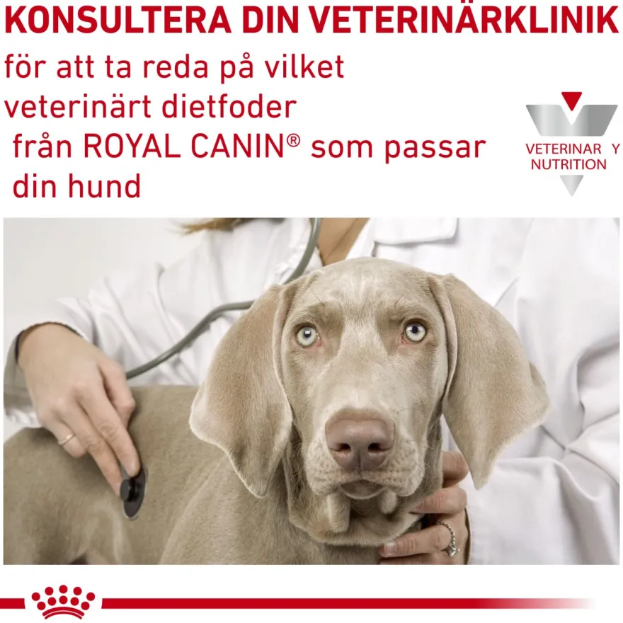 Derma Hypoallergenic Loaf Can våtfôr for hunder 200 g