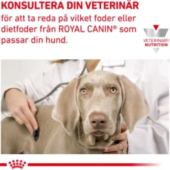 Derma Hypoallergenic Loaf Can våtfôr for hunder 200 g