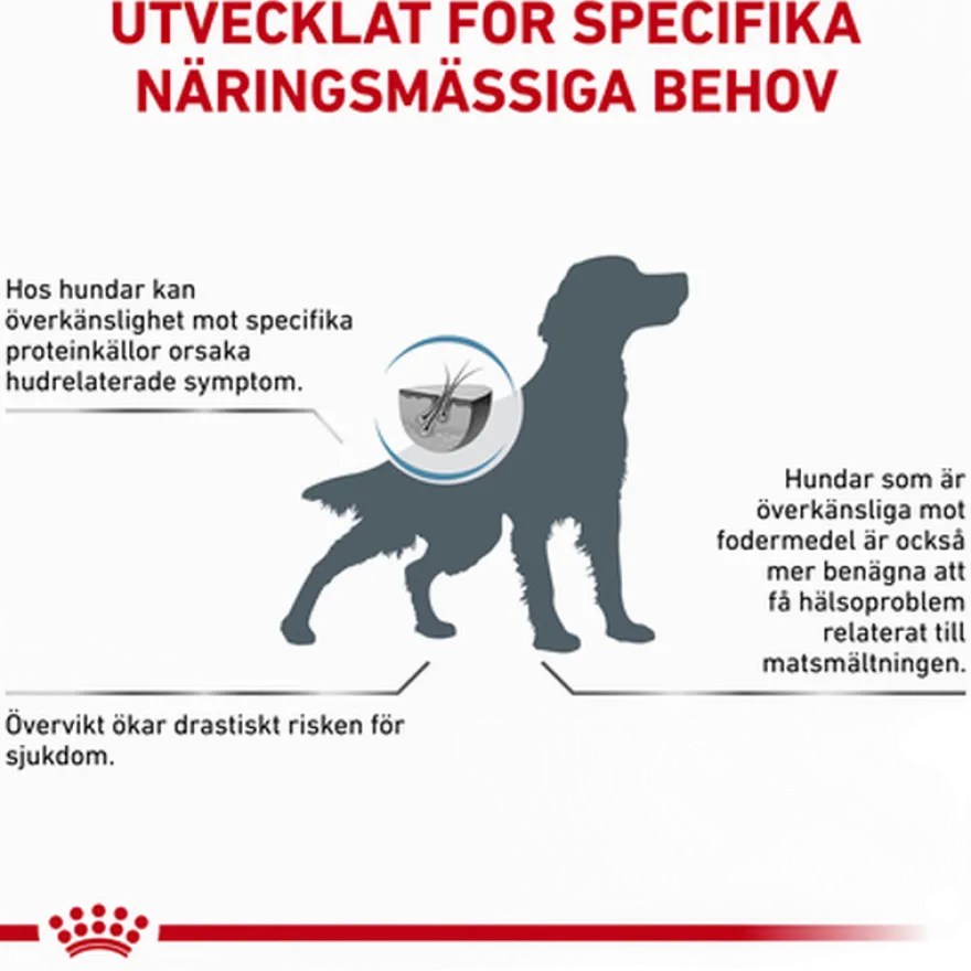 Derma Hypoallergenic Moderate Calorie tørrfôr for hunder 14 kg