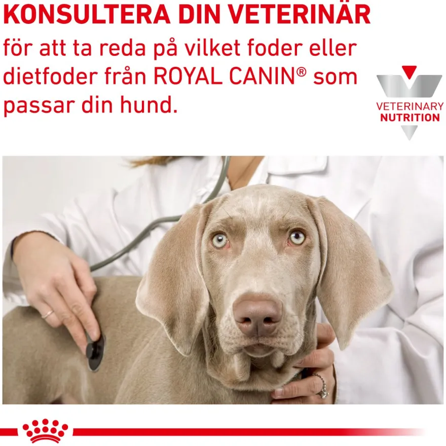 Derma Hypoallergenic Moderate Calorie tørrfôr for hunder 14 kg