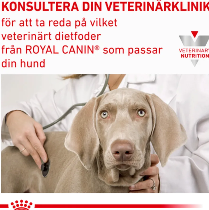 Derma Sensitivity Control Duck Can våtfôr for hunder 12 x 410 g