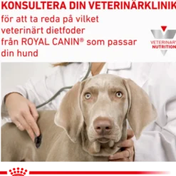 Derma Skin Care tørrfôr for hunder 11 kg