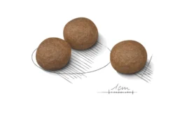 Digestive Care Adult Medium tørrfôr for hunder 3 kg