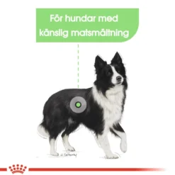 Digestive Care Adult Medium tørrfôr for hunder 3 kg