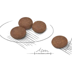Digestive Care Adult Mini tørrfôr for hunder 8 kg