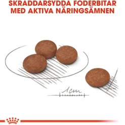 Digestive Care Adult Mini tørrfôr for hunder 8 kg