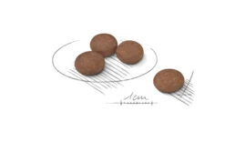 Digestive Care Adult Mini tørrfôr for hunder 8 kg