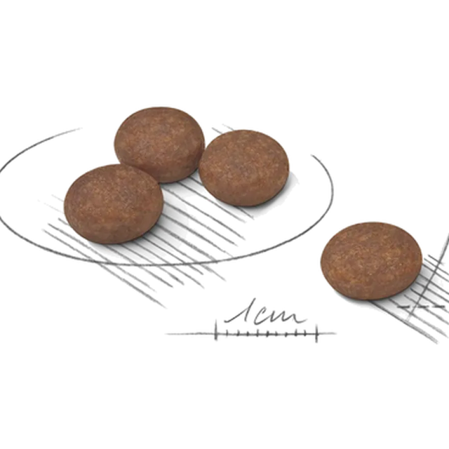 Digestive Care Adult Mini tørrfôr for hunder 3 kg