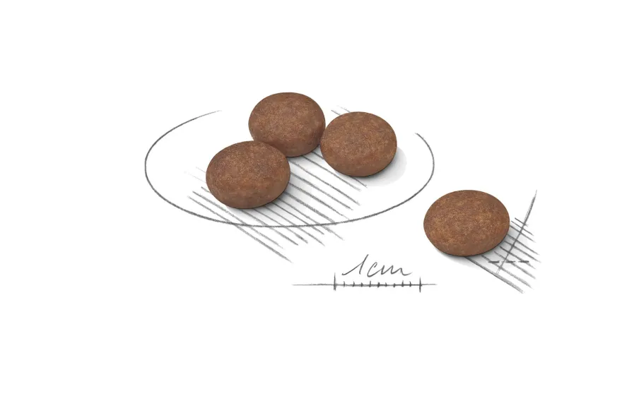 Digestive Care Adult Mini tørrfôr for hunder 3 kg