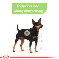 Digestive Care Adult Mini tørrfôr for hunder 3 kg