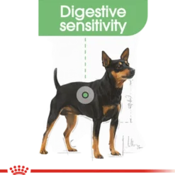 Digestive Care Adult Mini tørrfôr for hunder 3 kg