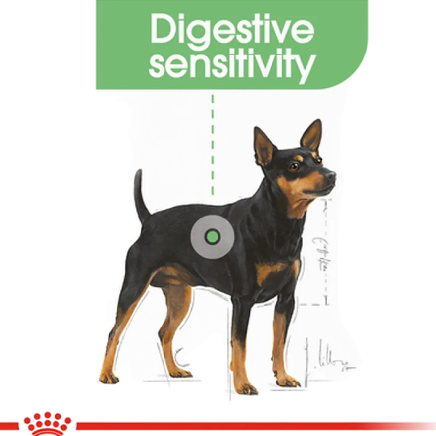 Digestive Care Adult Mini tørrfôr for hunder 3 kg