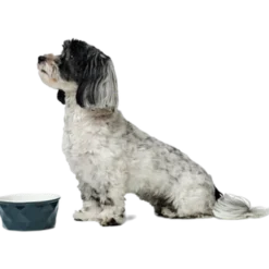 Dog & Cat Feeding Bowl Eiby Ceramic Blue 1100 ml