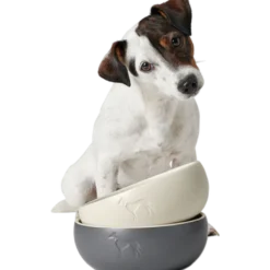 Dog & Cat Feeding Bowl Lund Ceramic Black 550 ml
