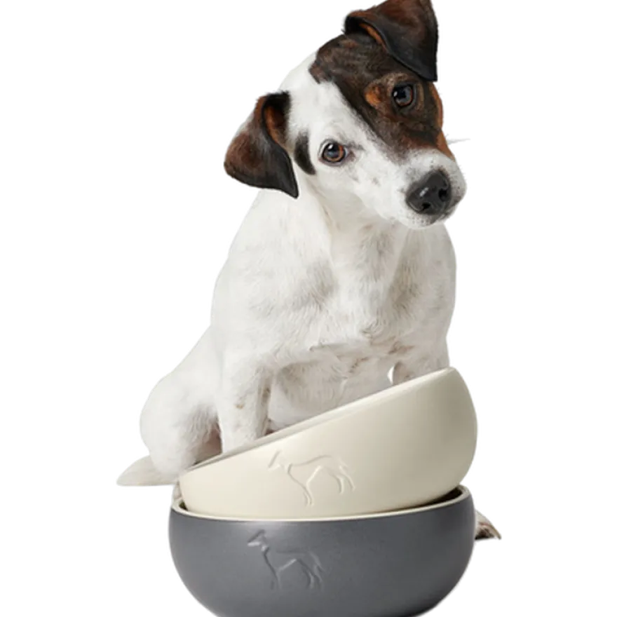 Dog & Cat Feeding Bowl Lund Ceramic Gray 550 ml