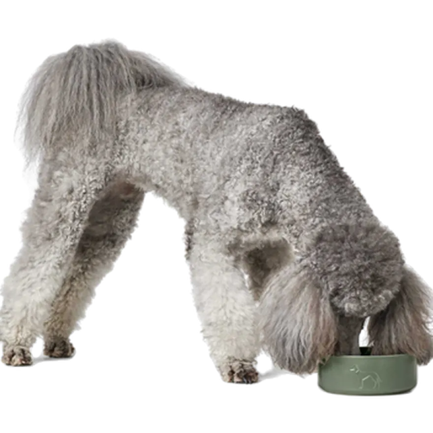 Dog & Cat Feeding Bowl Osby Ceramic Brown 550 ml