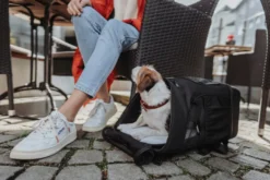 Dog & Cat Flight Bag/Backpack Miles Black 30x22x45cm - Max Vekt 6,5kg