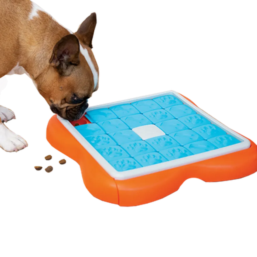 Dog Challenge Slider, nivå 3 (avansert) Blå 37 x 37 x 5 cm