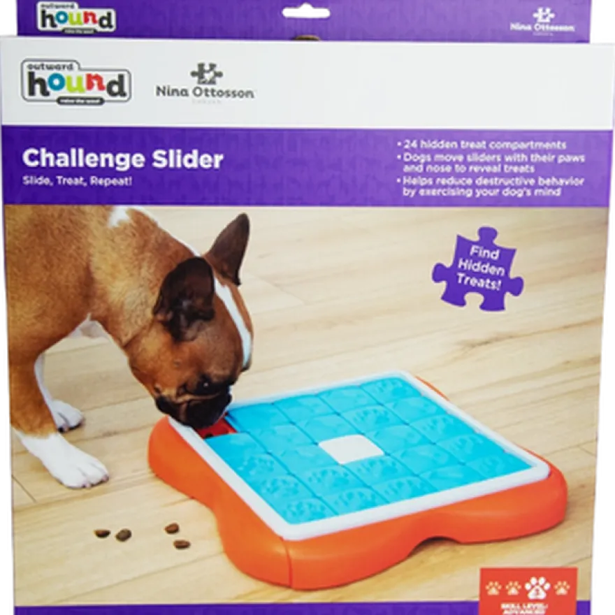 Dog Challenge Slider, nivå 3 (avansert) Blå 37 x 37 x 5 cm