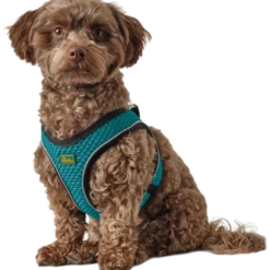 Dog Harness Comfort Hilo Orange X-Small