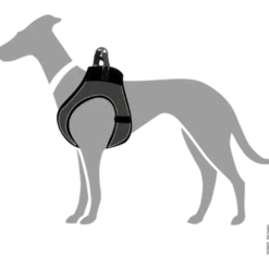 Dog Harness Comfort Hilo Orange X-Small