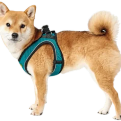 Dog Harness Comfort Hilo Turquoise X-Small