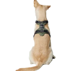 Dog Harness Divo Red XS