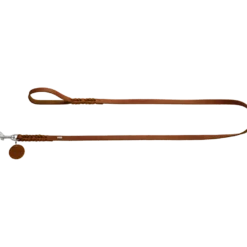 Dog Leash Solid Education Brown 200cm 11mm