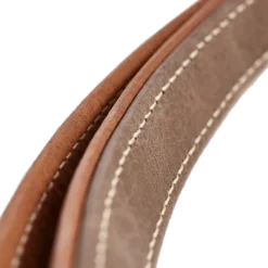 Dog Leash Training Porto Brown 200 cm, 15 mm
