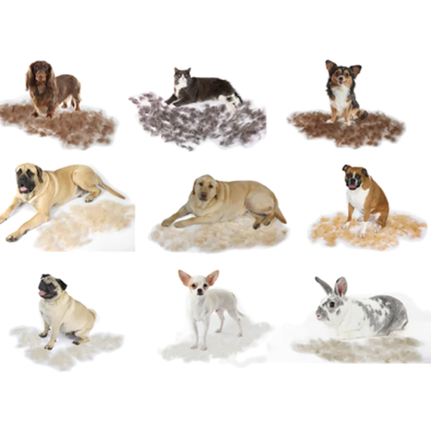 Dog Long Hair DeShedding Tool
