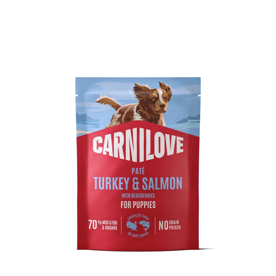 Dog Pouch Paté Turkey & Salmon with Blueberries for Puppies 300g