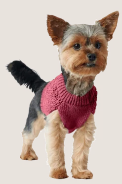 Dog Pullover Malmö Bordeaux 50cm