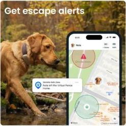 DOG 6 XL GPS Brun