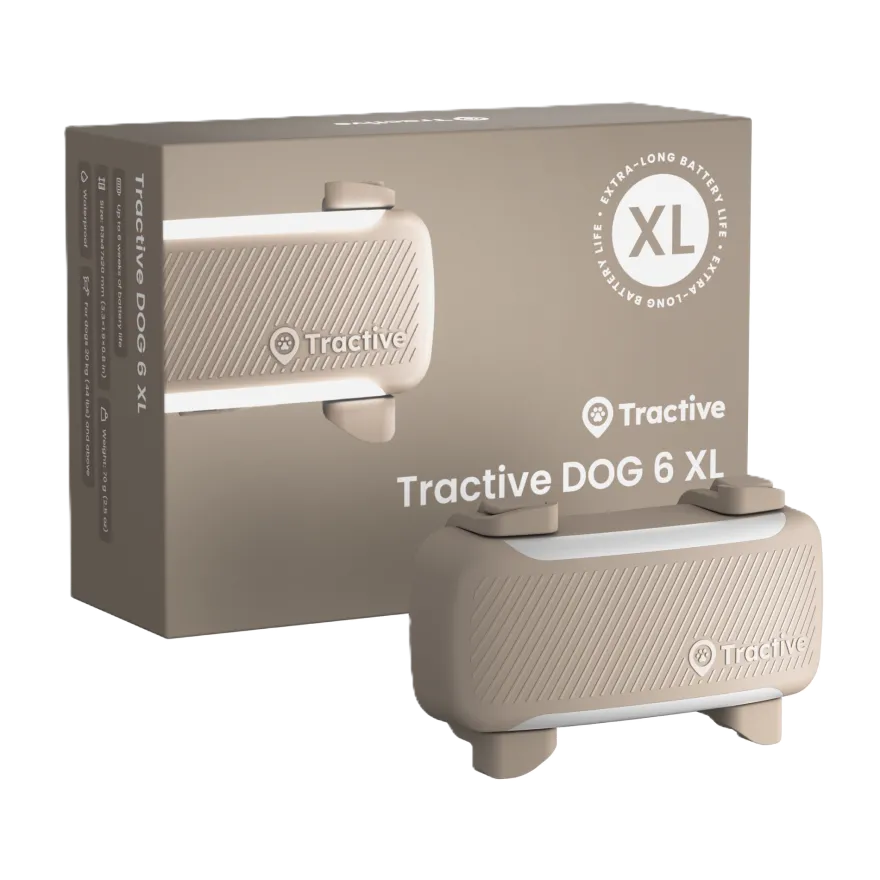 DOG 6 XL GPS Brun