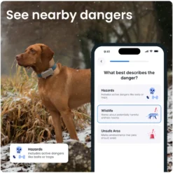 DOG 6 XL GPS Brun