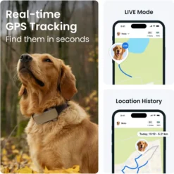DOG 6 XL GPS Brun