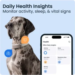 DOG 6 XL GPS Brun