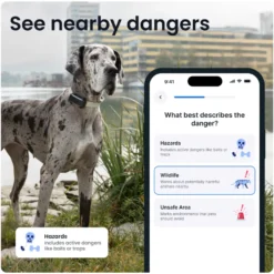 DOG 6 XL GPS Svart