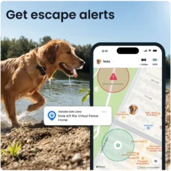 DOG 6 XL GPS Svart