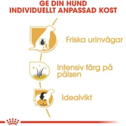 Dvergschnauzer Adult tørrfôr for hunder 3 kg