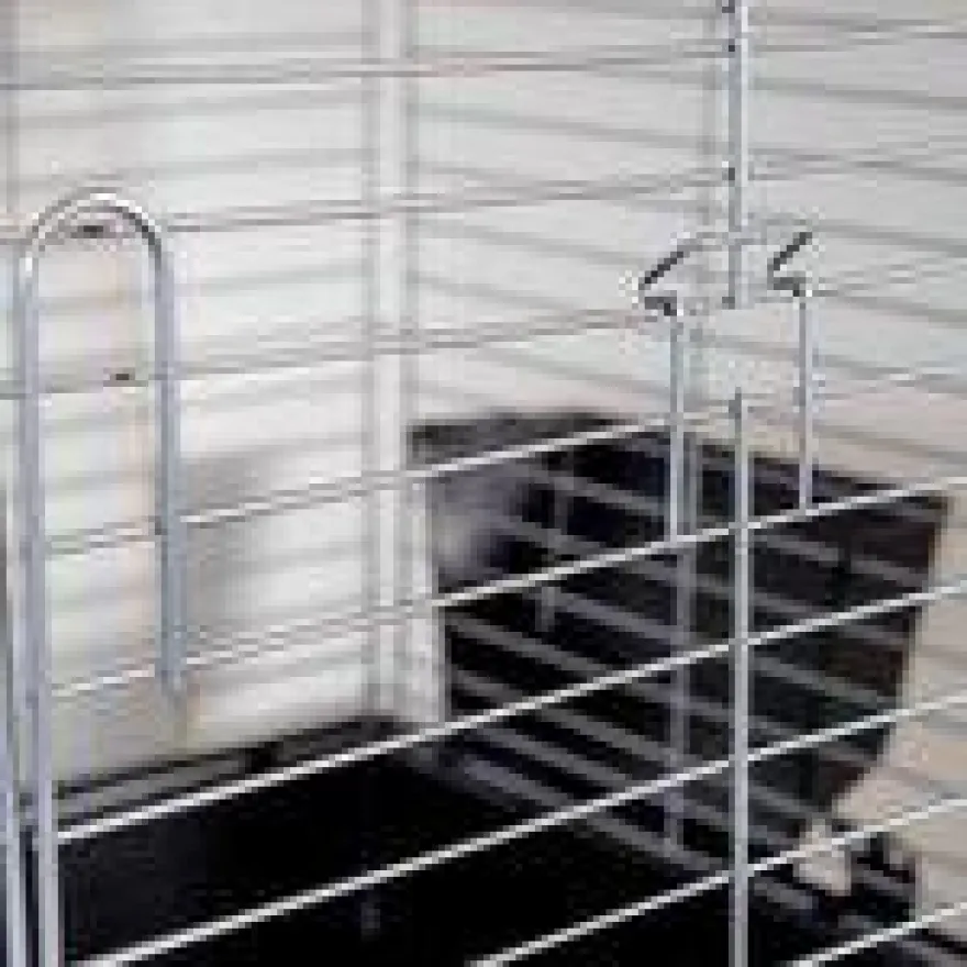Easy 140H 135X66X60,5Cm