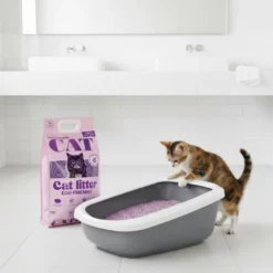 Eco-Friendly Cat Litter 6L x 2 - Lavender