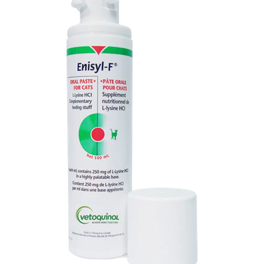 Enisyl-F 100 ml