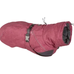 Expedition Parka - Dog Winter Coat Black 20