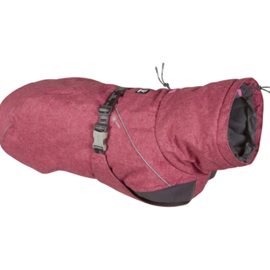 Expedition Parka - Dog Winter Coat Black 20
