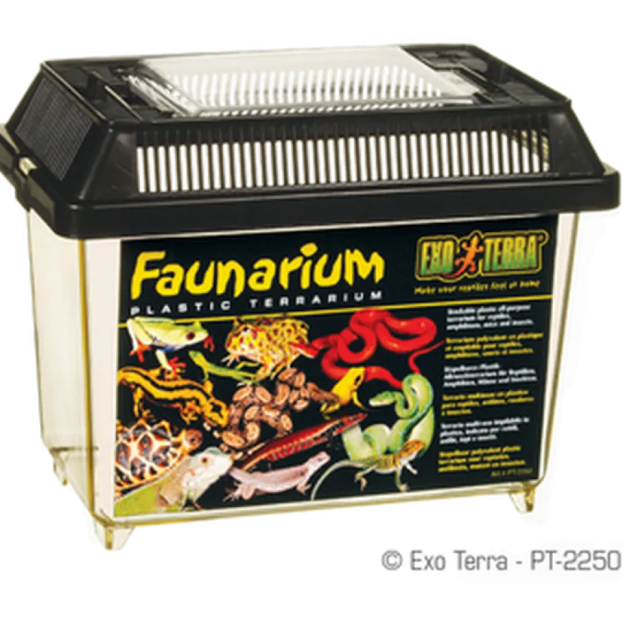 Faunarium Nr 1, 18x11x14cm - Terrarium i plast