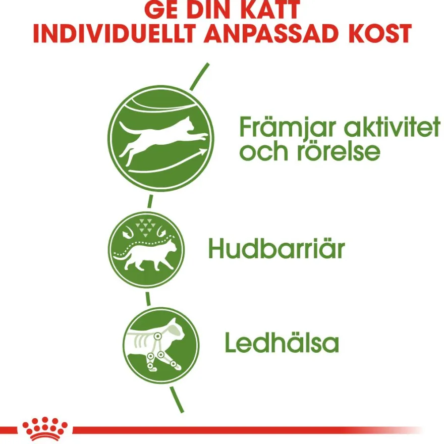 Feline Active Life Outdoor 2 kg