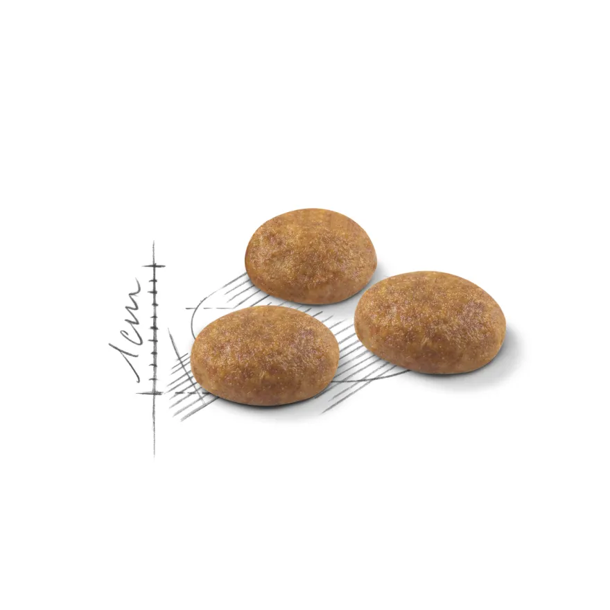 Feline Active Life Outdoor 2 kg