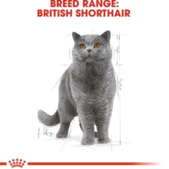 Feline Breed Wet British Short Gravy 85 g x 12 stk - porsjonsposer